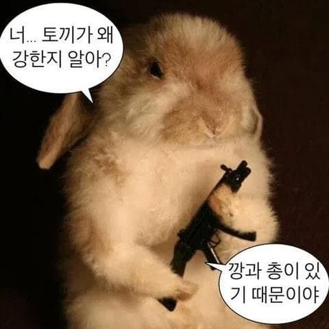 테스트이벤트